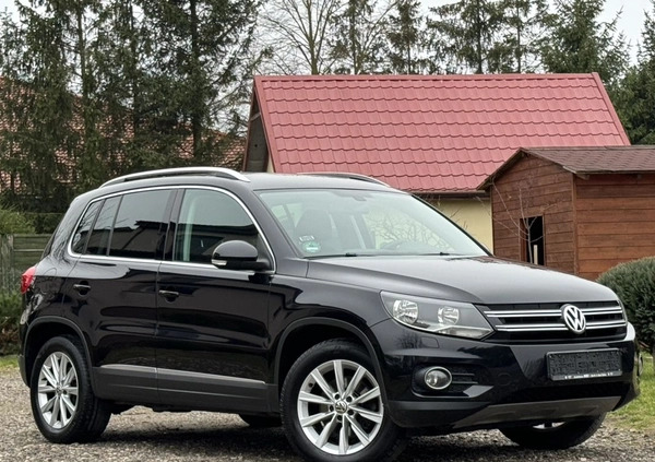Volkswagen Tiguan cena 49700 przebieg: 155270, rok produkcji 2013 z Prudnik małe 232